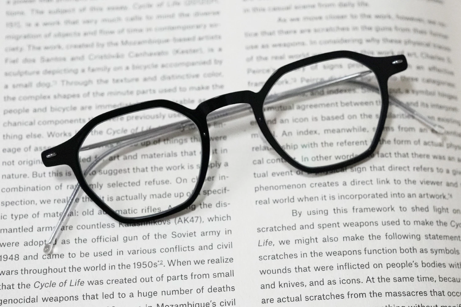 LINDBERG n.o.w. titanium mod.6653 col.06/P10