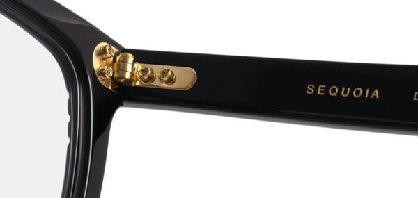 DITA STATESMAN SEQUOIA DRX-2086 Matt Black - 画像 (6)