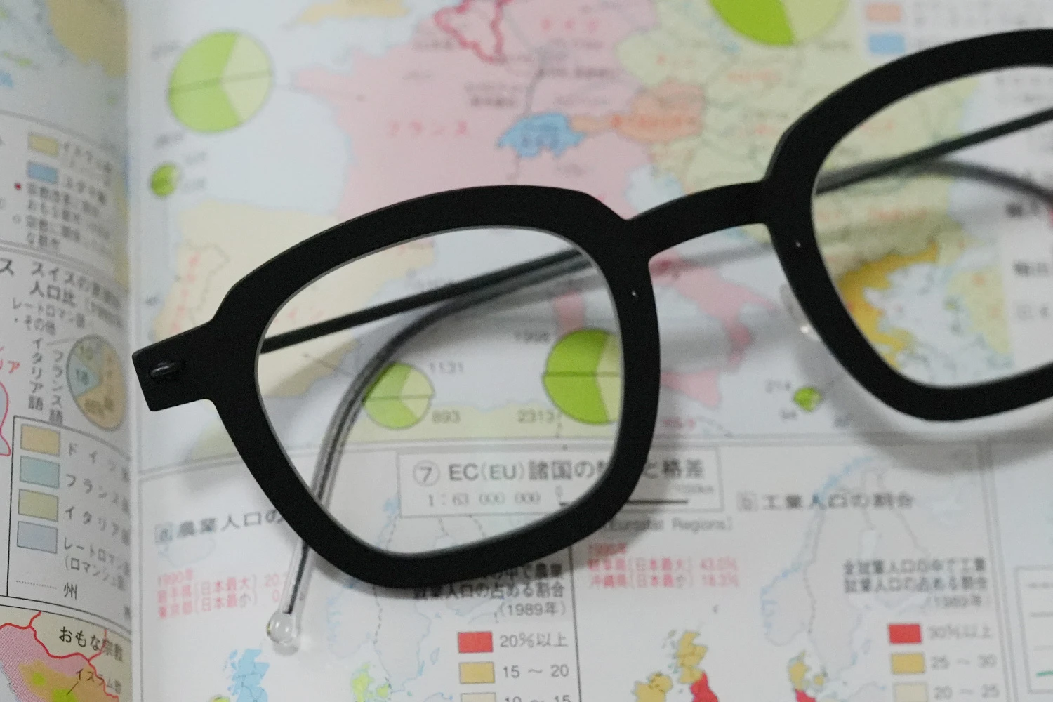 LINDBERG n.o.w. titanium mod.6587 col.D16/U9