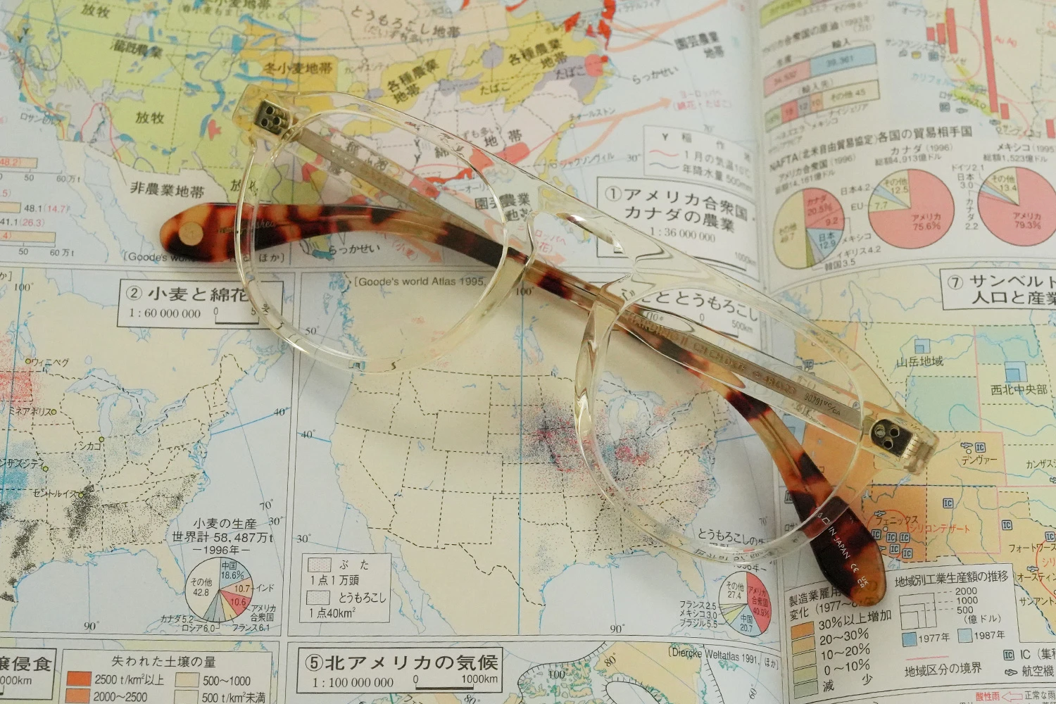 Garrett Leight Harding II col.Champagne-Champagne Dark Tortoise Fade