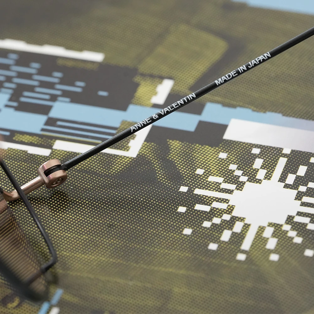 Anne et Valentin SUE col.21D21